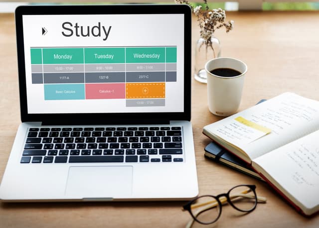 Self-paced, Concept-based